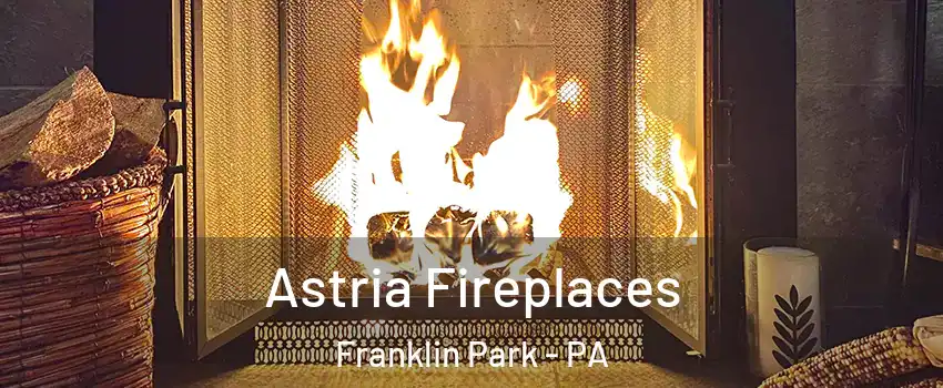 Astria Fireplaces Franklin Park - PA