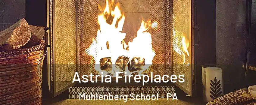 Astria Fireplaces Muhlenberg School - PA