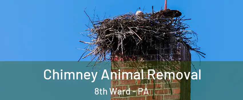 Chimney Animal Removal 8th Ward - PA