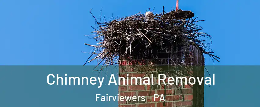 Chimney Animal Removal Fairviewers - PA
