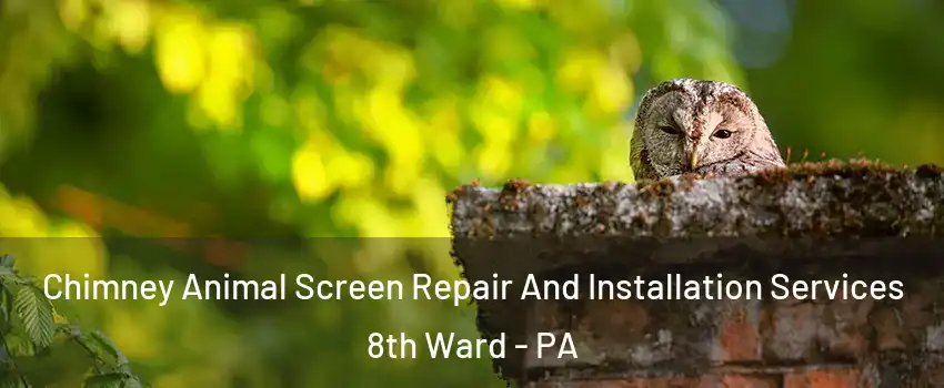 Chimney Animal Screen Repair And Installation Services 8th Ward - PA