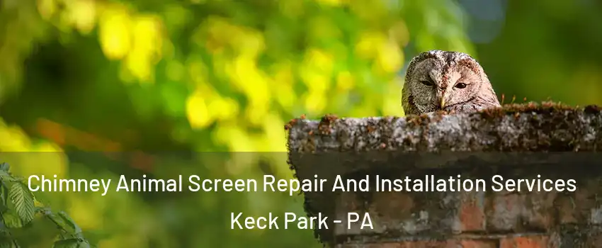 Chimney Animal Screen Repair And Installation Services Keck Park - PA