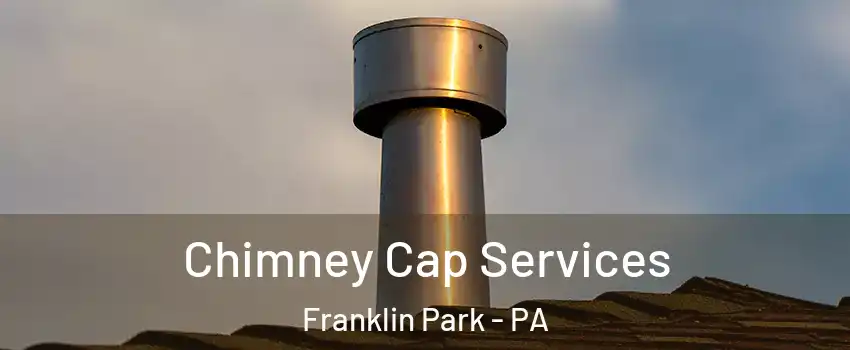 Chimney Cap Services Franklin Park - PA