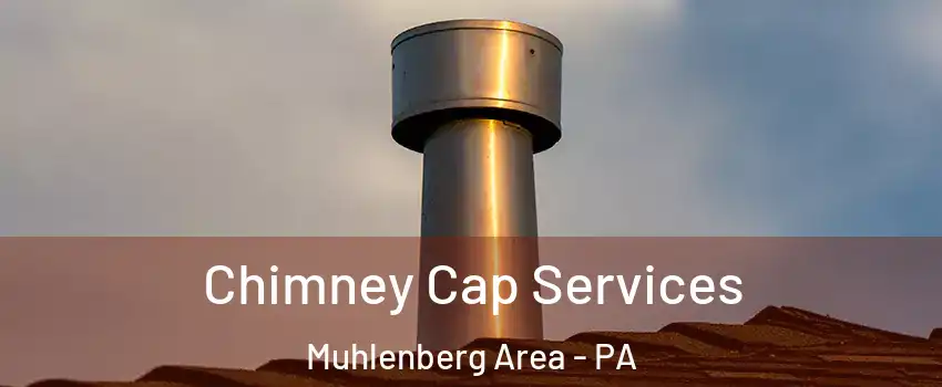 Chimney Cap Services Muhlenberg Area - PA