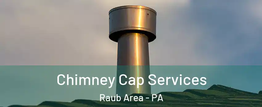 Chimney Cap Services Raub Area - PA