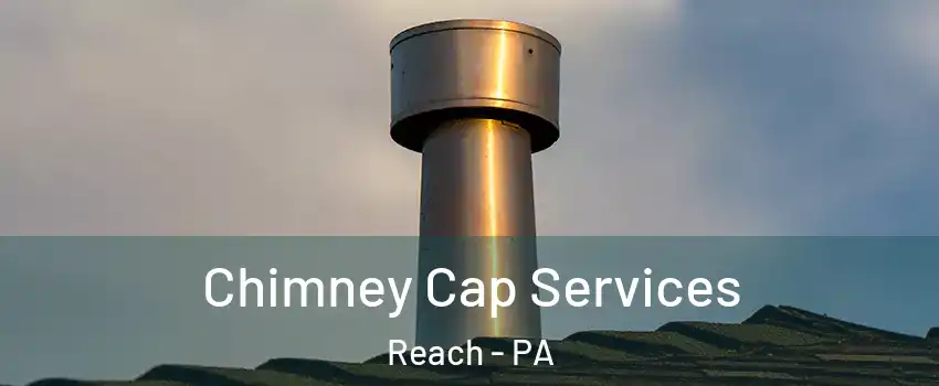Chimney Cap Services Reach - PA