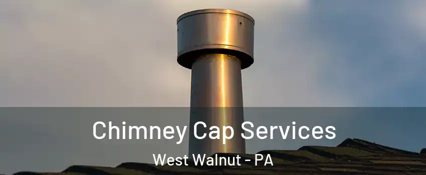 Chimney Cap Services West Walnut - PA