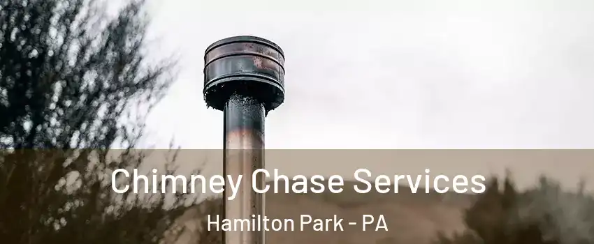 Chimney Chase Services Hamilton Park - PA