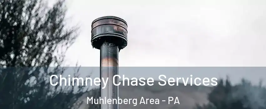 Chimney Chase Services Muhlenberg Area - PA