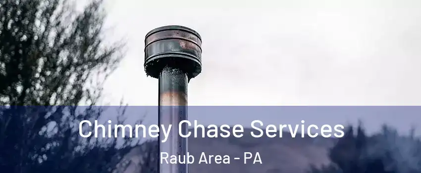 Chimney Chase Services Raub Area - PA