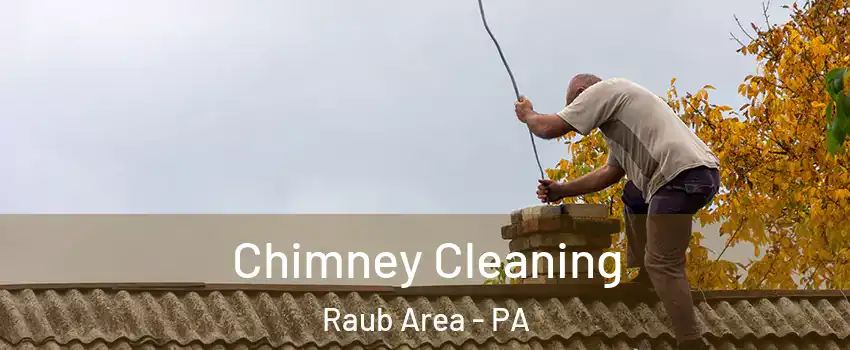 Chimney Cleaning Raub Area - PA