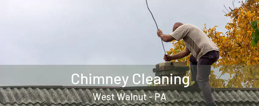 Chimney Cleaning West Walnut - PA