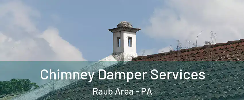 Chimney Damper Services Raub Area - PA
