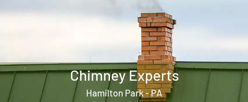 Chimney Experts Hamilton Park - PA