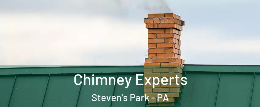 Chimney Experts Steven's Park - PA