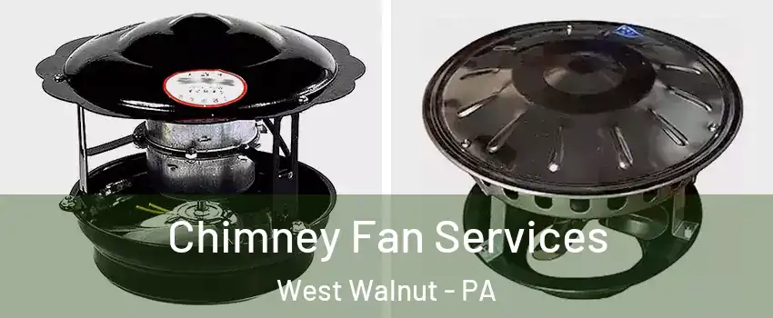 Chimney Fan Services West Walnut - PA