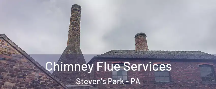 Chimney Flue Services Steven's Park - PA