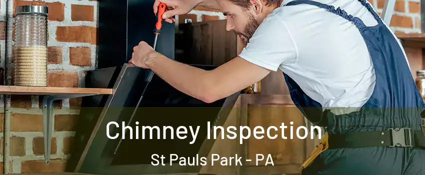 Chimney Inspection St Pauls Park - PA