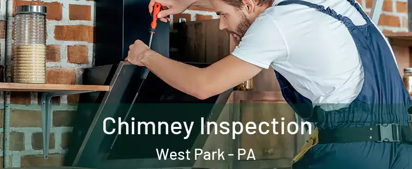 Chimney Inspection West Park - PA