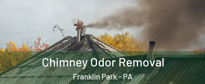 Chimney Odor Removal Franklin Park - PA
