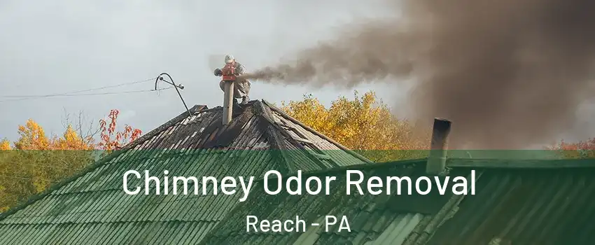 Chimney Odor Removal Reach - PA