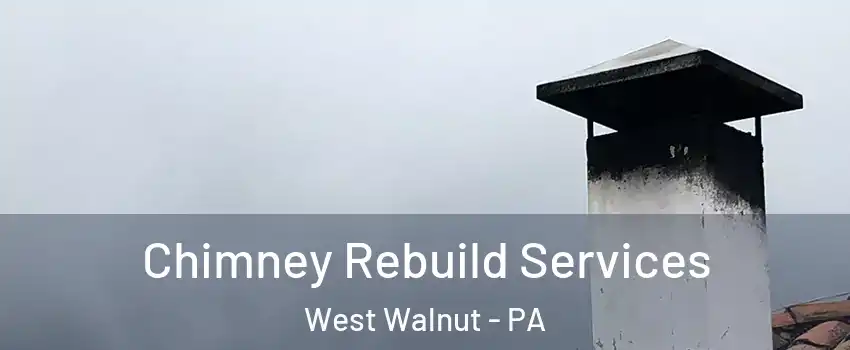 Chimney Rebuild Services West Walnut - PA