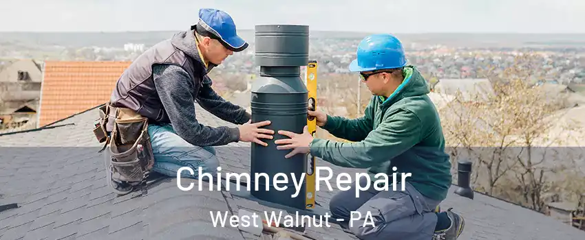 Chimney Repair West Walnut - PA