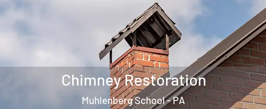 Chimney Restoration Muhlenberg School - PA