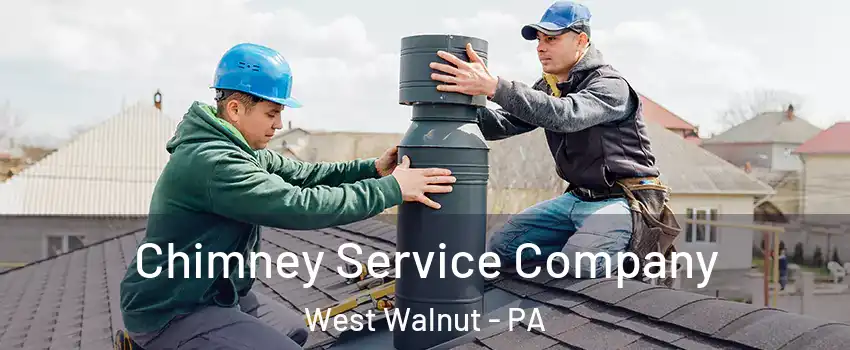 Chimney Service Company West Walnut - PA