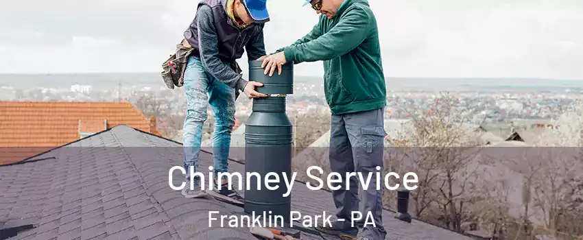 Chimney Service Franklin Park - PA
