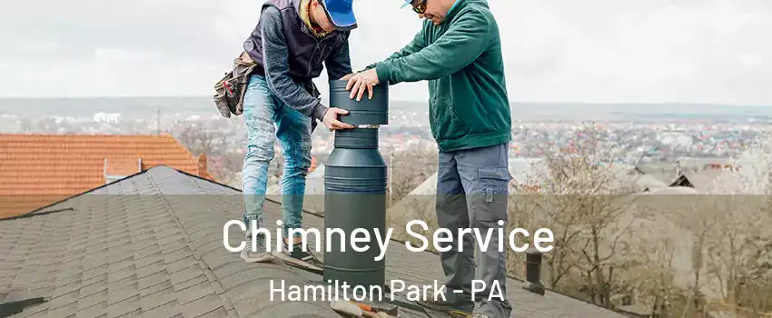 Chimney Service Hamilton Park - PA