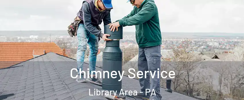Chimney Service Library Area - PA