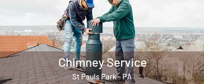 Chimney Service St Pauls Park - PA