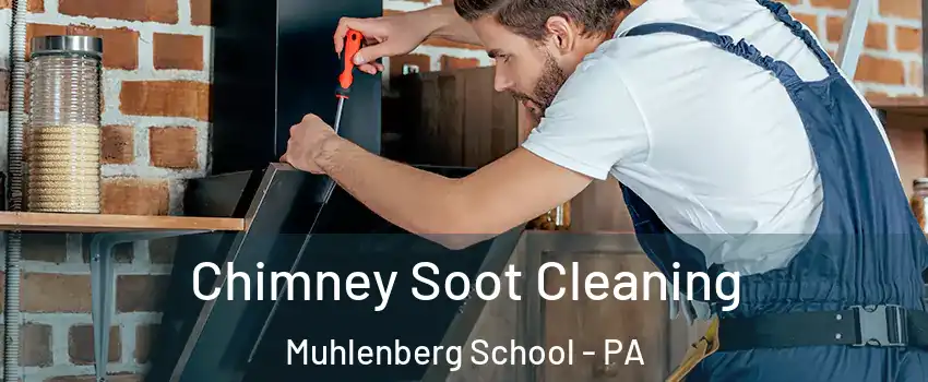 Chimney Soot Cleaning Muhlenberg School - PA