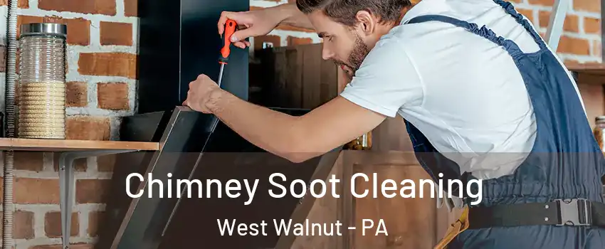Chimney Soot Cleaning West Walnut - PA