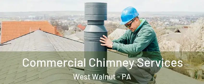 Commercial Chimney Services West Walnut - PA
