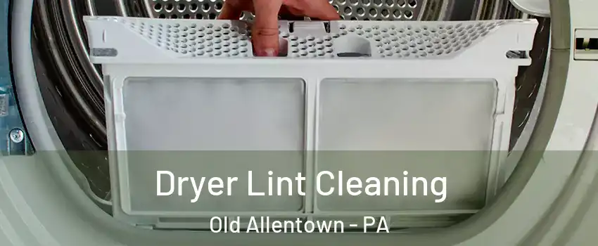 Dryer Lint Cleaning Old Allentown - PA