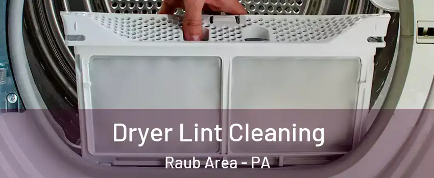 Dryer Lint Cleaning Raub Area - PA