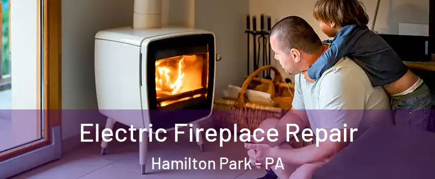 Electric Fireplace Repair Hamilton Park - PA