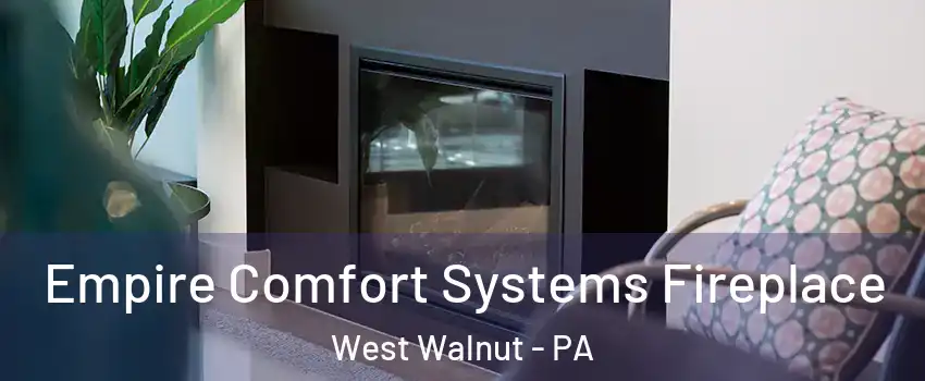 Empire Comfort Systems Fireplace West Walnut - PA