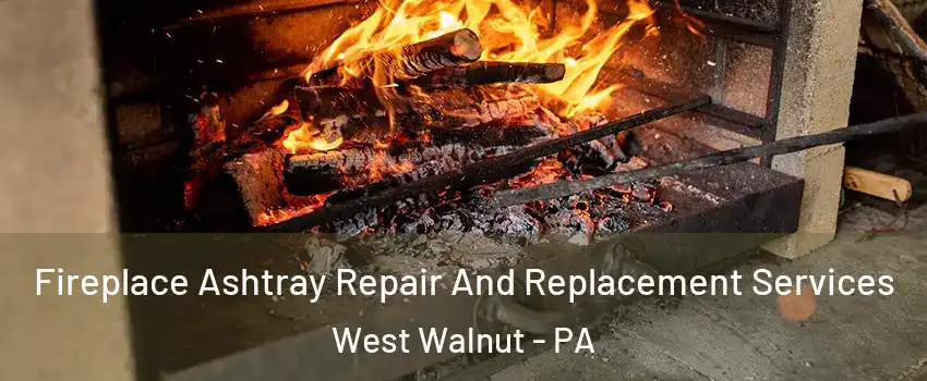 Fireplace Ashtray Repair And Replacement Services West Walnut - PA