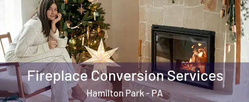 Fireplace Conversion Services Hamilton Park - PA