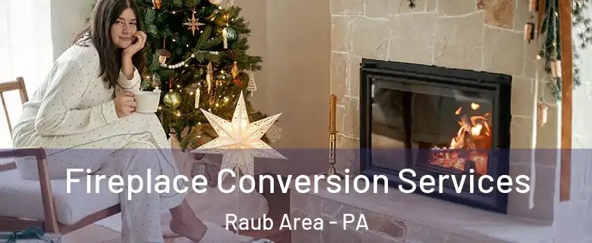 Fireplace Conversion Services Raub Area - PA