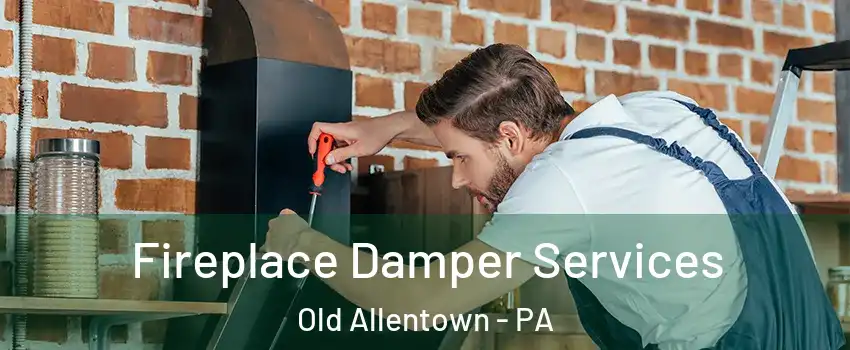 Fireplace Damper Services Old Allentown - PA