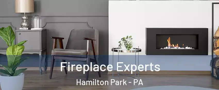 Fireplace Experts Hamilton Park - PA