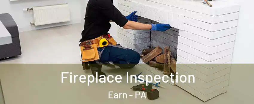 Fireplace Inspection Earn - PA