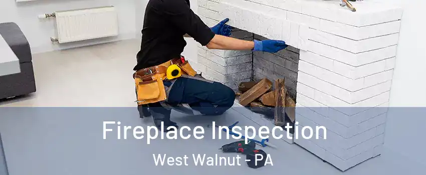 Fireplace Inspection West Walnut - PA