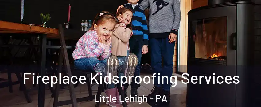Fireplace Kidsproofing Services Little Lehigh - PA