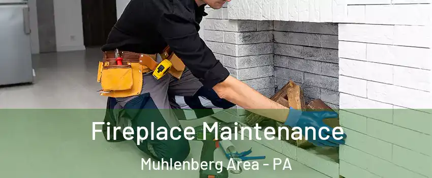 Fireplace Maintenance Muhlenberg Area - PA