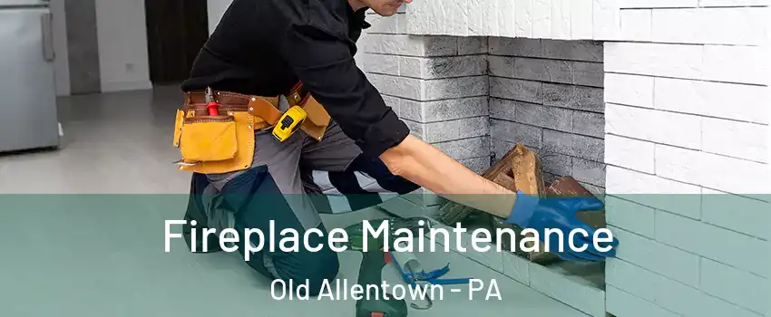 Fireplace Maintenance Old Allentown - PA